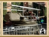 wien-arsenal_13