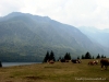 08_bohinj-06-588