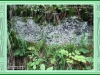 brunt_09