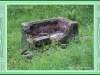 brunt_10