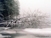 cerne-jezero_05