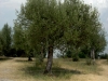 garda-j_11