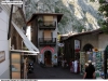 limone_02