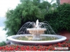 limone_03