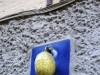 limone_10