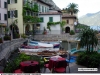 limone_13