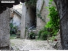 limone_14