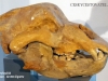 grotta-gigante-21