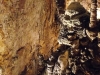 grotta-gigante-39