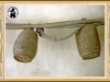 heidenreichstein_004