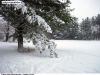 sicka_01