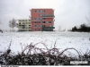 sicka_07