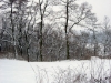 sicka_26