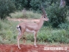 kenya-028