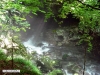 08_mostnica