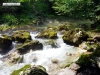 17_mostnica