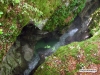 18_mostnica