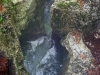 23_mostnica