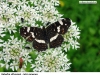 0113_baboc-sitk_krasny-dvur
