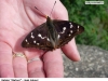 0438_batolec_krus