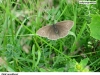 0439_okac-pros_krus