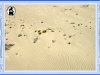 fraele_017