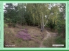 rakov_04