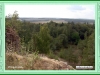 rakov_06
