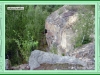 rakov_10