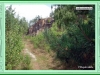 rakov_26