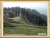 silb_026