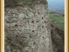 silb_030