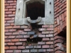 silb_031
