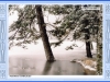 sumava-05