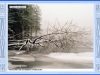 sumava-06