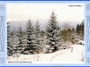 sumava-12