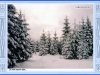 sumava-22