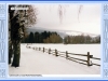 sumava-23
