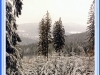 sumava-26