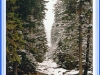 sumava-29