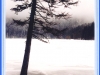 sumava-31