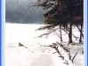 sumava-32