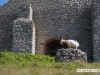 g7-sumeg