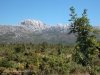 vinnetou-zrmanja-04