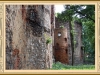 zabkowice_003