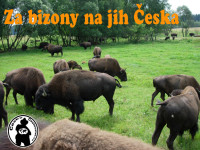 Za bizony_01