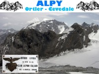 alpy