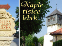Czaszek_001net