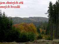 kourimsko_2_01