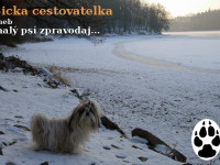 sicka_001